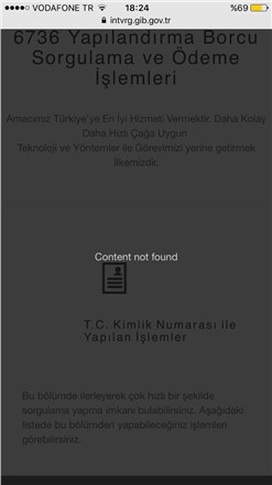 Borç yapılandırması