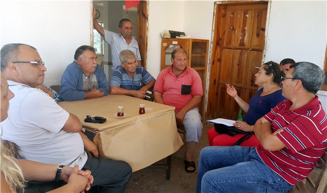 Silifke Dolu Zararı