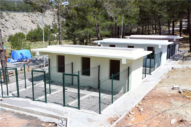 Bozyazı hayvan barınağı