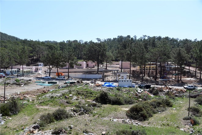 Bozyazı Hayvan Barınağı