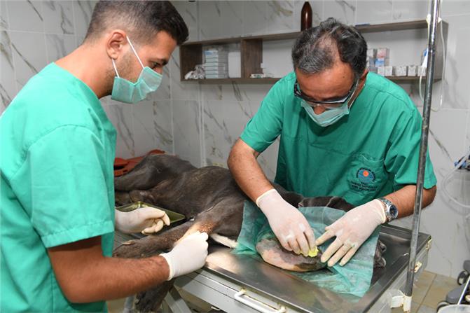 “VEFA” ARTIK VEFALI ELLERE EMANET