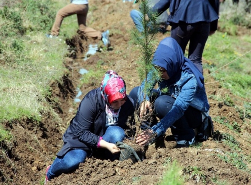 ‘Bereket Ormanları' Projesi Samsun'da Hayat Buldu