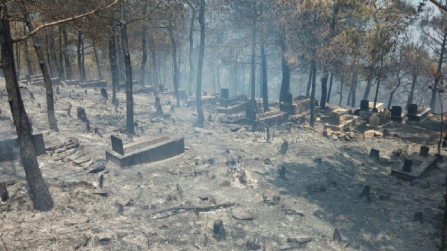 Mersin'deki Orman Yangınında Mezarlık Büyük Zarar Gördü