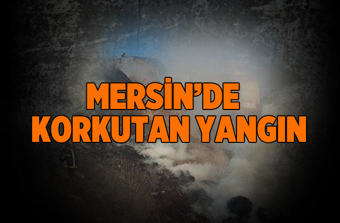 Mersin'de Çıkan Yangın Mahalleliyi Korkuttu