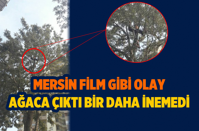 Mersin'de Bir Genç Çıktığı Ağaçta Mahsur Kaldı