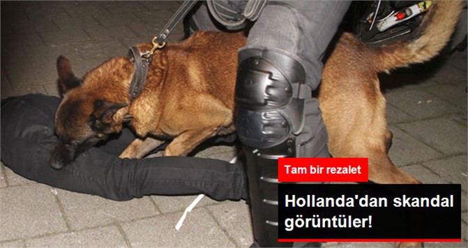 Hollanda Polisi Türklere Köpeklerle Saldırdı
