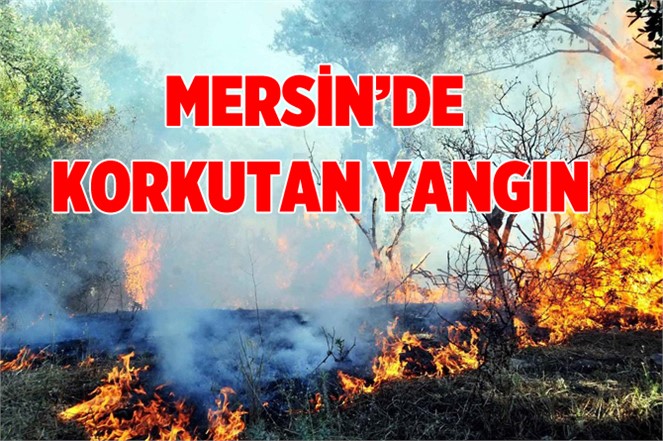 Mersin'de Ormanlık Alandaki Yangın Korkuttu