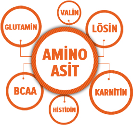 Amino asit nedir? Faydaları nelerdir?