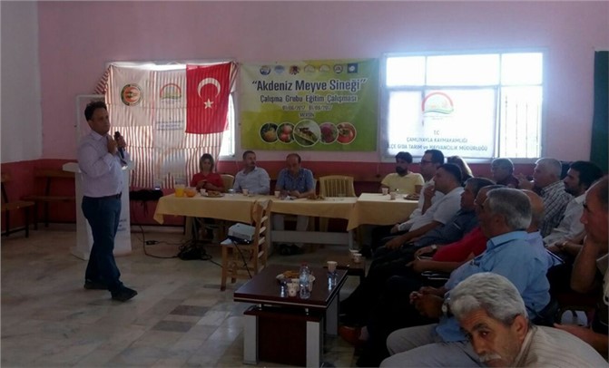 Çamlıyayla'da "Akdeniz Meyve Sineği ile Mücadele" Toplantısı