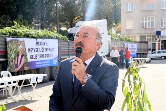 Büyükşehir 15 Bin Badem Fidanını Üreticisiyle Buluşturdu