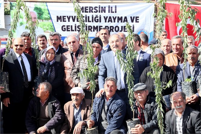 Büyükşehir 15 Bin Badem Fidanını Üreticisiyle Buluşturdu