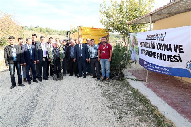 Büyükşehir 15 Bin Badem Fidanını Üreticisiyle Buluşturdu