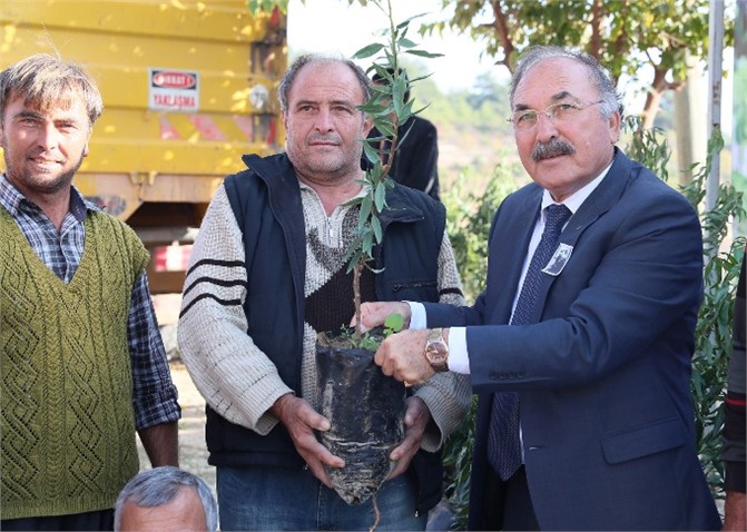 Büyükşehir 15 Bin Badem Fidanını Üreticisiyle Buluşturdu