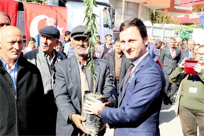 Büyükşehir 15 Bin Badem Fidanını Üreticisiyle Buluşturdu