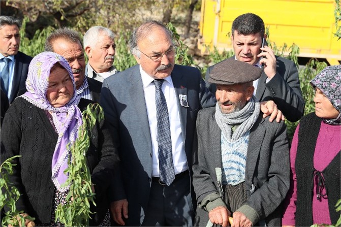 Büyükşehir 15 Bin Badem Fidanını Üreticisiyle Buluşturdu