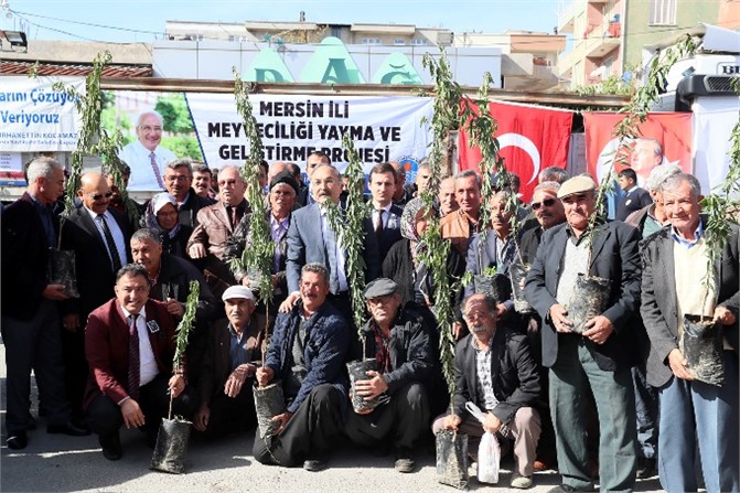 Büyükşehir 15 Bin Badem Fidanını Üreticisiyle Buluşturdu