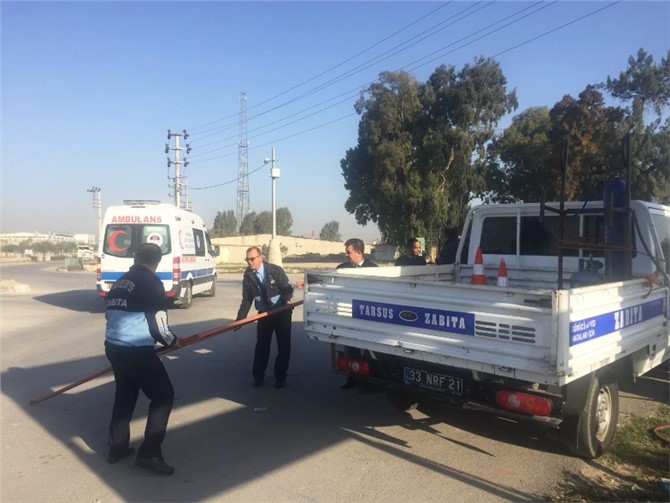 Zabıta, Kazalara Sebebiyet Verebilecek Pano ve Levhaları Kaldırdı