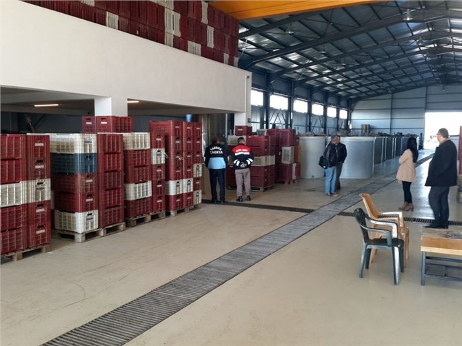Tarsus Belediyesi’nden Zeytinyağı Çıkaran ve Salamurasını Yapan Tesislere Denetim