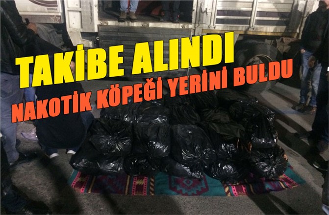 Mersin'de Uyuşturucuya Geçit Yok