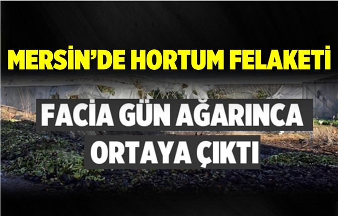 Mersin'de Hortum Dehşeti Yaşandı