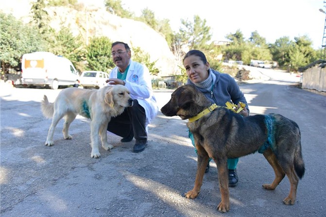 İşkenceden Mersin BŞB Ekipleri Kurtardı