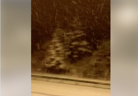 Yüksek Kesimlere Yağan Kar Nedeniyle Tekir ve Pozantı'da Yollar Kapandı