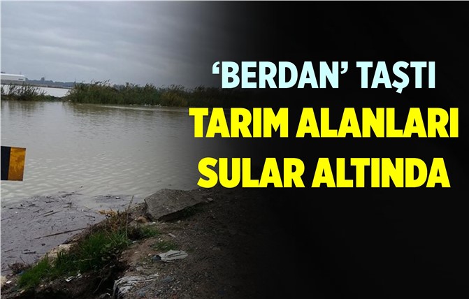 Mersin'de Tarım Alanları Sular Altında