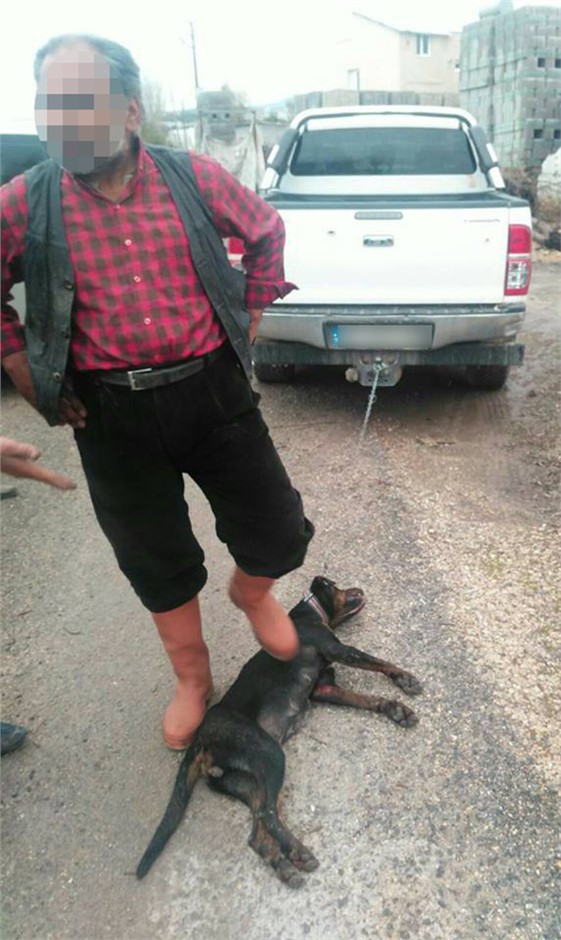 Köpeği Aracın Arkasına Bağlayarak Sürükledi, Mersin'de Vahşet