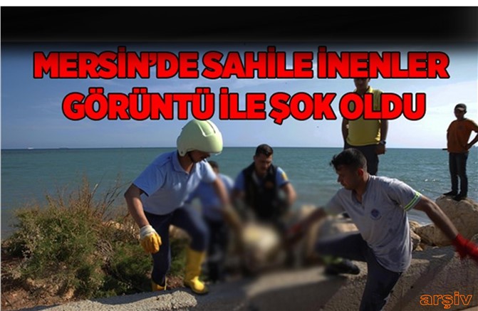 Sahilde Görenleri Üzen Görüntü