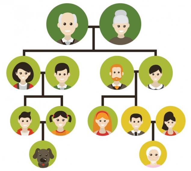 E-Devlet'ten Yayınlanan Soyağacı Hizmeti Meraklıları Sistemi Kilitledi