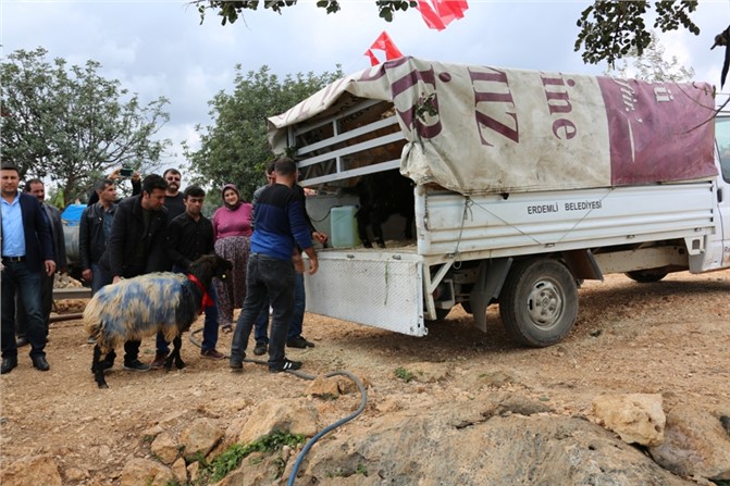 Yörüklerden Mehmetçiğe Kurban