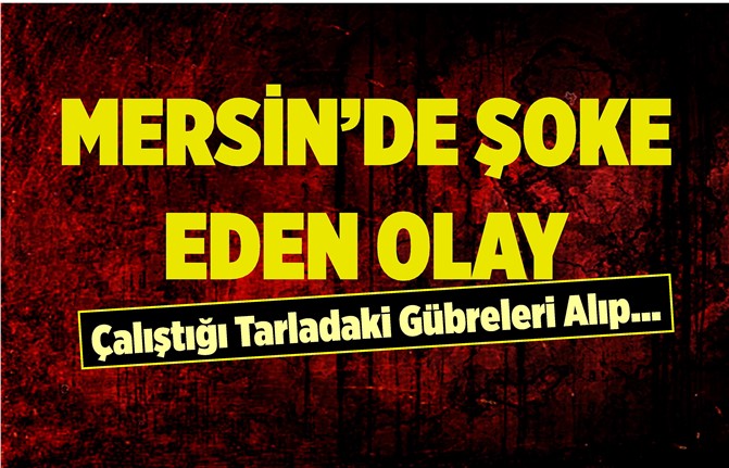 Mersin'de Pes Dedirten Olay