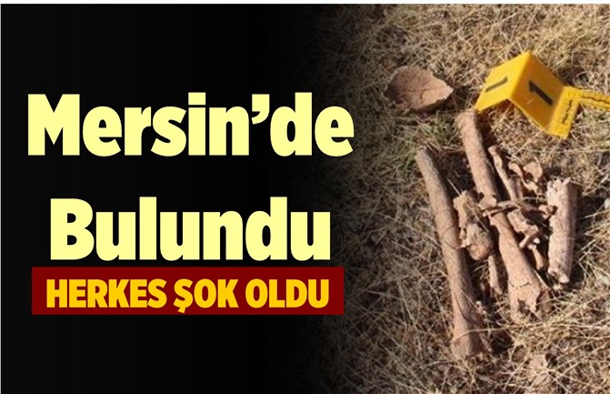 Mersin'de Kaybolan Şahısın Kemikleri Bulundu