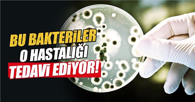 İşte İnsan Vücuduna Faydalı Sağlık Dostu 'Bakteriler'