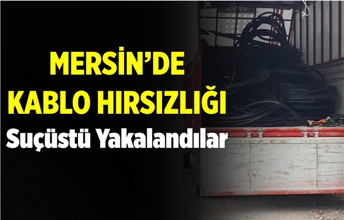 Mersin'de Hırsızlara Suçüstü