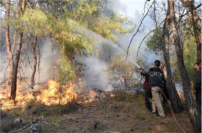 Orman Yangınlarına Karşı Dikkatli Olalım