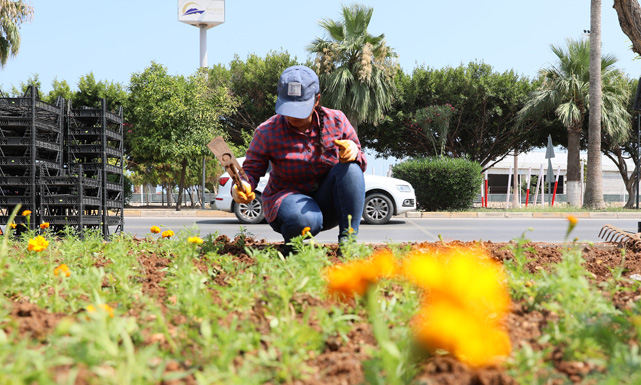 Mersin’de Cadde ve Parklar Çiçek Açtı