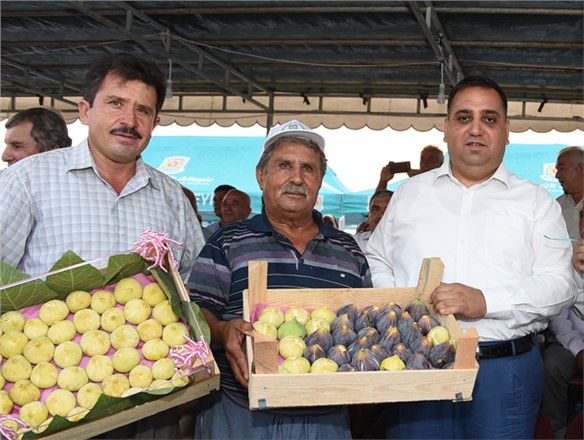 Kentin Tanıtımı İçin Bir İcraat Daha, Tarsus İncir’i Şölenle Tanıtılacak