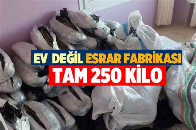 Mersin'de Bir Evde 250 Kilo Esrar Ele Geçirildi