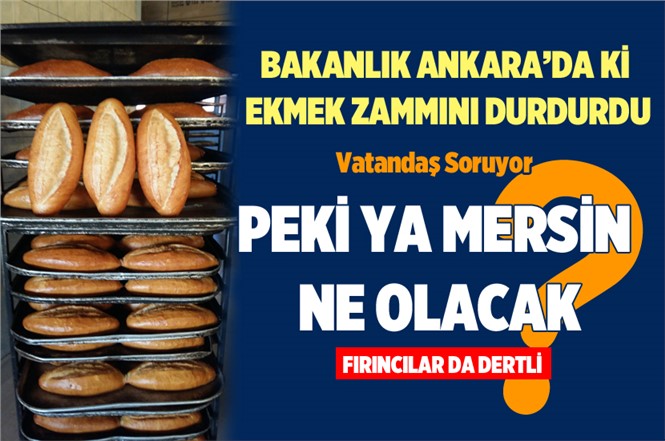 Ticaret Bakanlığı Ekmek Zammını Durdurdu. Peki Mersindeki Zam Ne Olacak!