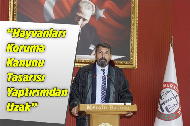 Yeşilboğaz: “Hayvanları Koruma Kanunu Tasarısı Yaptırımdan Uzak”