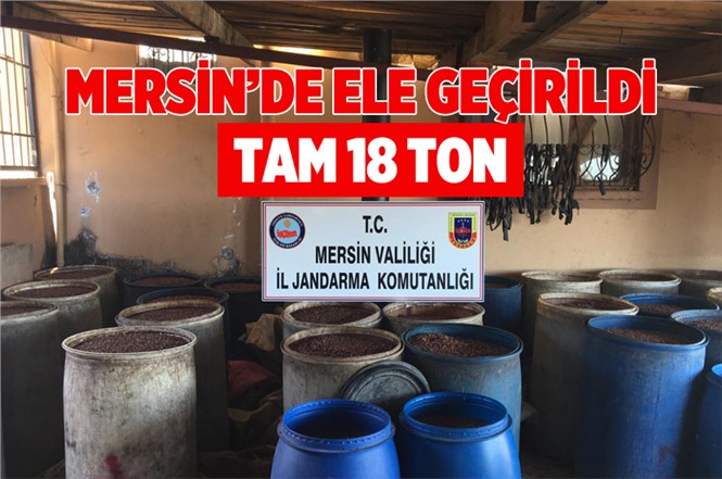 Mersin'de 18 Ton Sahte Rakı Ele Geçirildi