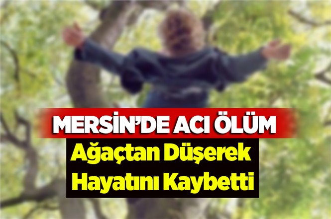 Mersin'de Acı Ölüm! Ağaçtan Düşerek Hayatını Kaybetti