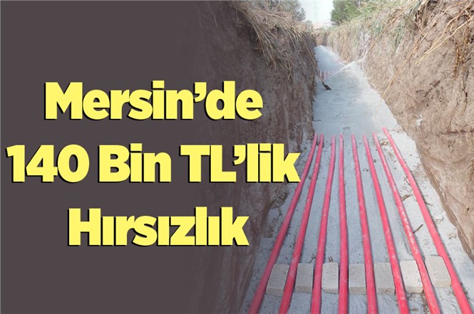 Mersin'de 140 Bin Liralık Hırsızlık İddiası