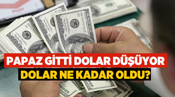 Bu Dolar Ne Kadar Oldu? Dolar Düşüyor mu? Bir Dolar Kaç TL Oldu?