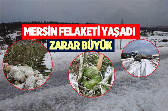 Mersin Dolu Felaketi Yaşadı! Çiftçilerin Zararı Büyük