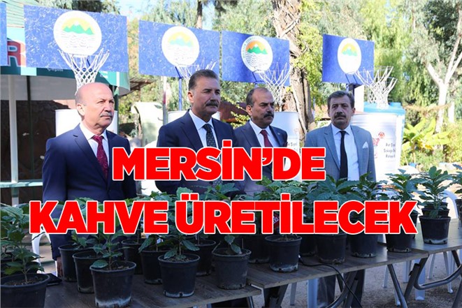 Mersin'de Kahve Üretimi Yapılacak