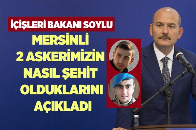 Bakan Süleyman Soylu'dan Donarak Şehit Olan Mersinli 2 Asker Hakkında Açıklama