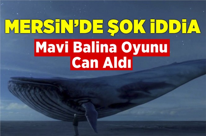 Mavi Balina Mersin'de Can Aldı