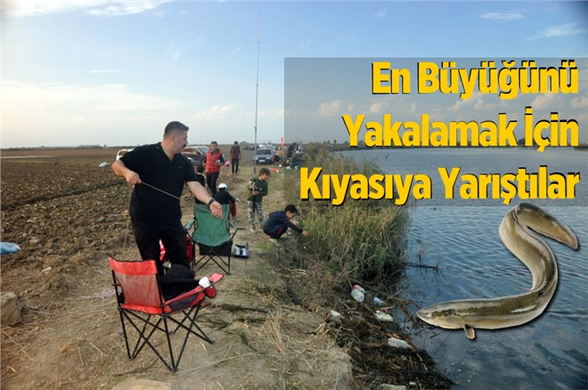 Tarsus Yılan Balığı Yakalama Yarışması Çekişmeli Geçti